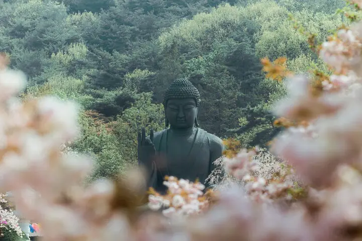 Khung Cảnh Mùa Xuân Tuyệt Đẹp Ở Ngôi Đền Có Bức Tượng Phật ...