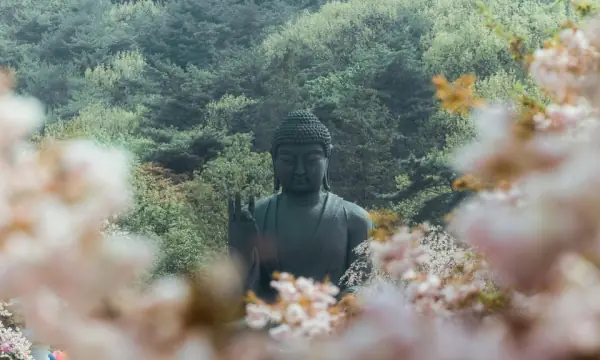 Khung Cảnh Mùa Xuân Tuyệt Đẹp Ở Ngôi Đền Có Bức Tượng Phật ...