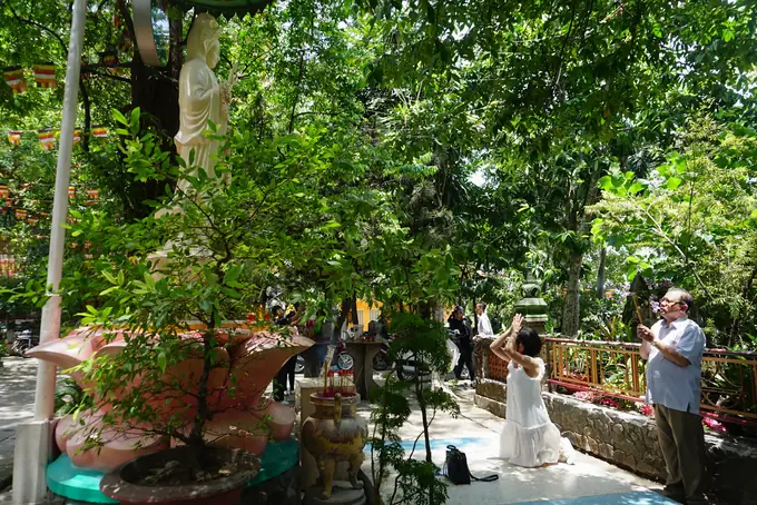 Chùa Tây Tạng Có Bức Tượng Phật Bằng Tóc Người Lớn Nhất Việt Nam