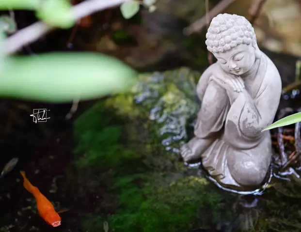 Ý Nghĩa Và Cách Đặt Tượng Phật Trang Trí Trong Nhà - Tĩnh Decor