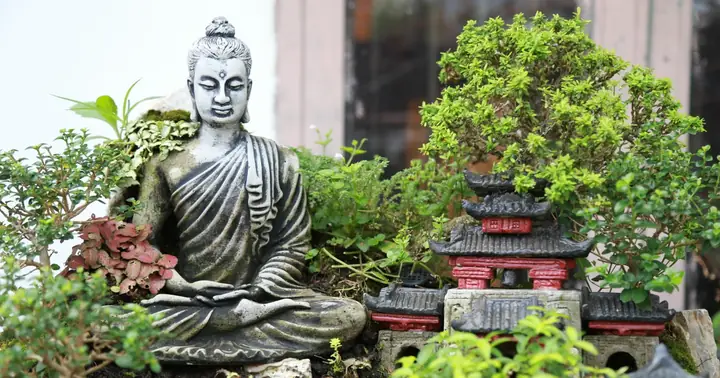 Tạo Vườn Tiểu Cảnh Tượng Phật Trên Sân Thượng Ngôi Nhà Ở Sài Gòn ...