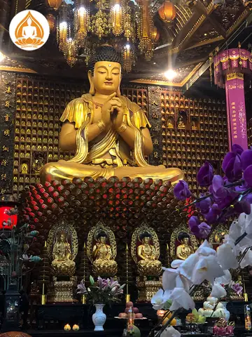 Địa Chỉ Thỉnh Tượng Tỳ Lô Giá Na Ở Đâu?