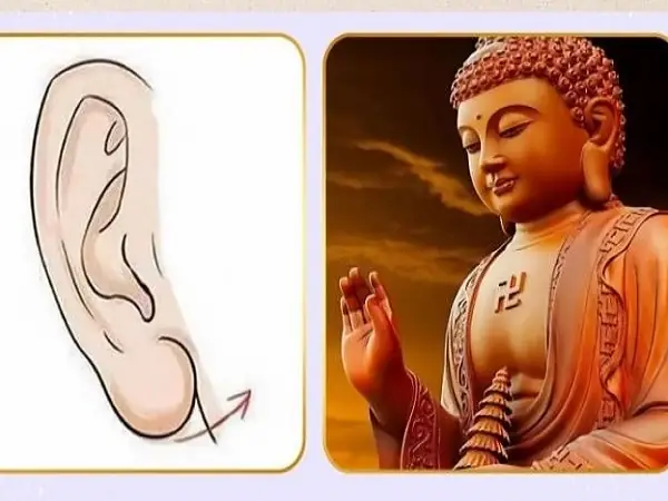 Đặc Điểm Nhận Biết Tướng Tai Phật Di Lặc