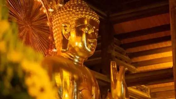 Ứng Dụng Tư Duy Đạo Phật Vào Kinh Doanh