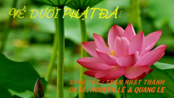 Hợp Âm Về Dưới Phật Đài - Trần Nhật Thanh - Hợp Âm Việt