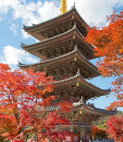 Vương Đường Phật Giáo Nhật Bản