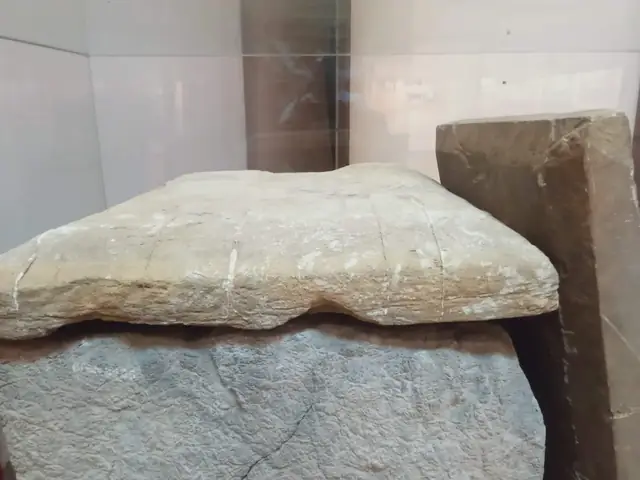 Xá Lị Của Phật Thích Ca Được Vua A Dục Dựng Bảo Tháp Ở Nước Ta