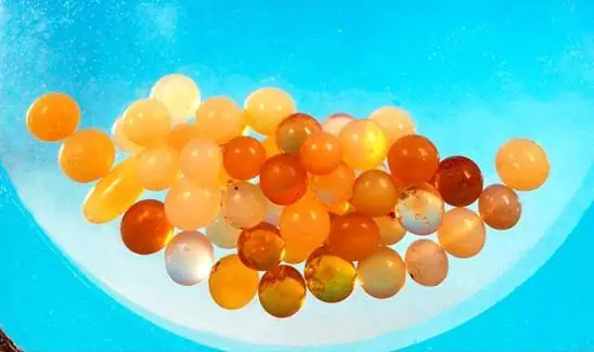 Xá Lợi Huyết Phật