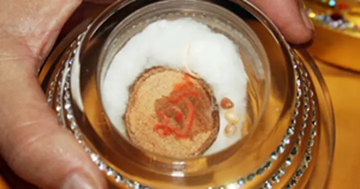 “giải Mã” 10 Viên Xá Lợi Phật An Vị Ở Chùa Bái Đính