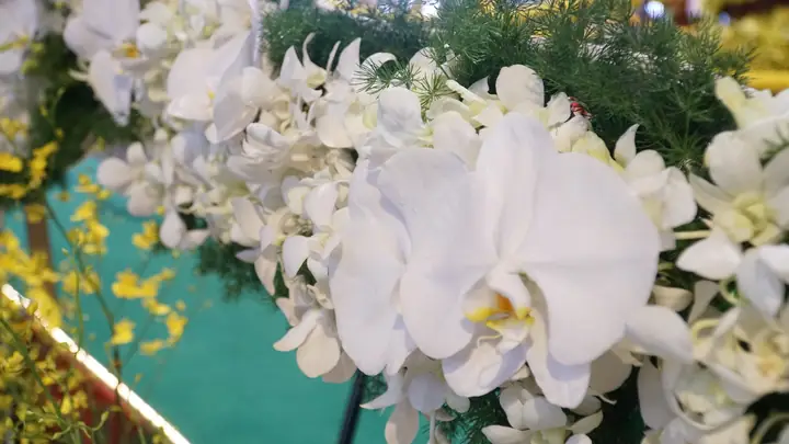 An Ninh Siết Chặt, Giữ Trọn Sự Tôn Kính