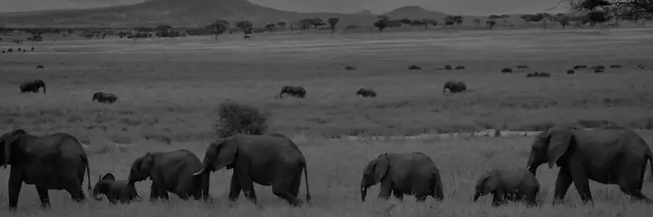 Vanhanhkhxh5@groups.io | Chiêm Bái Quốc Bảo Sri Lanka : Xá ...