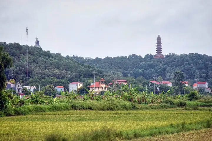 Yếu Tố Thúc Đẩy Sự Phát Triển