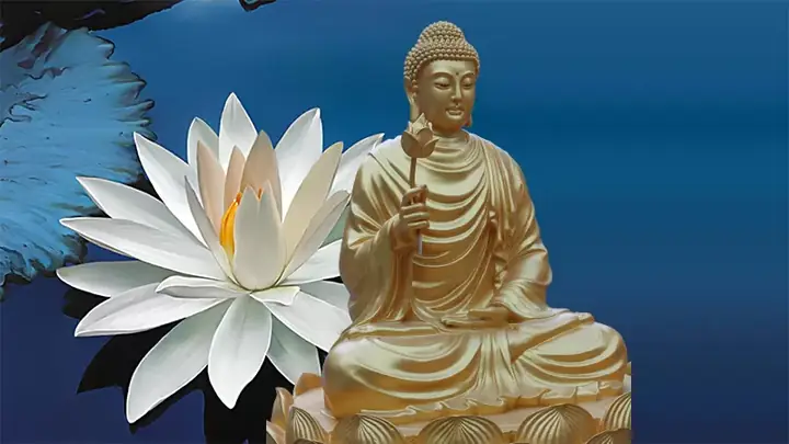 Hình Ảnh Cho Hình Ảnh Đức Phật Đẹp: