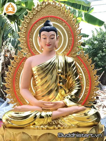 Tư Thế Thiền Thủ Ấn (dhyana Mudra)