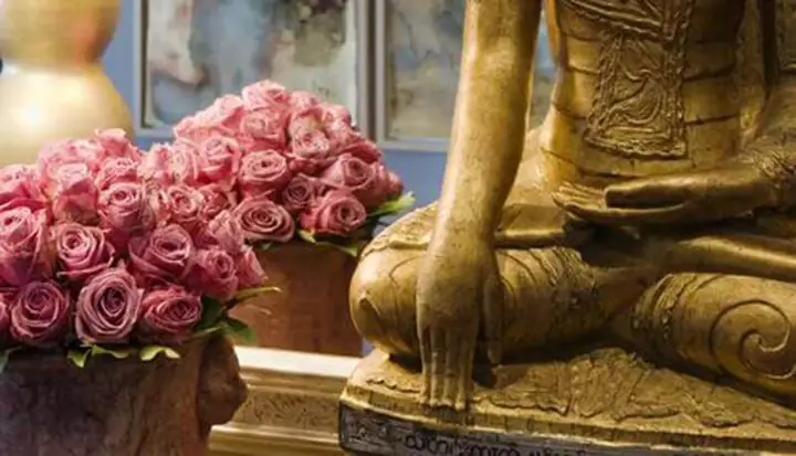 Xúc Địa Thủ Ấn (bhumistarsa Mudra)