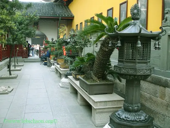 Đạo Phật Đối Với Đời Sống Con Người | Giác Ngộ Online