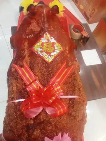 Heo Quay Cúng Size 15kg - 20kg