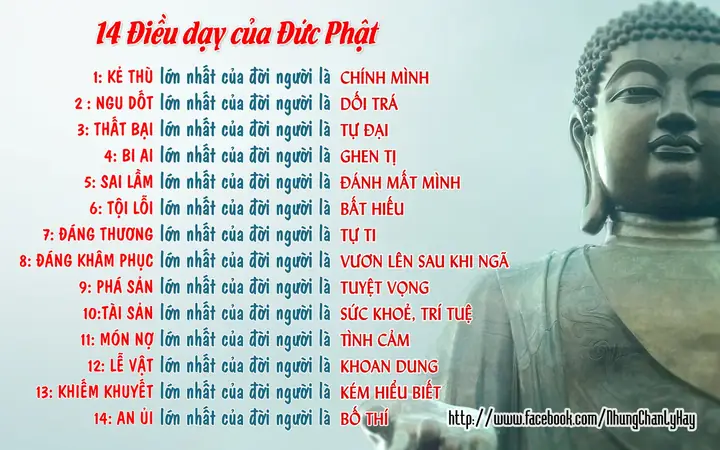14 Điều Dạy Của Đức Phật - Lời Phật Dạy - Chân Lý Hay