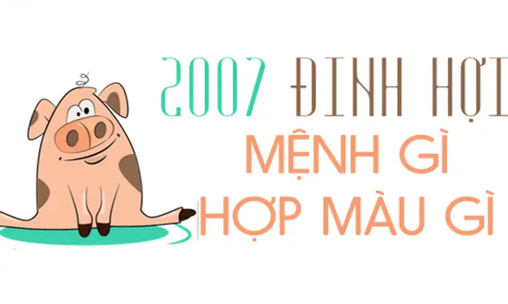 Nam, Nữ Tuổi Đinh Hợi 2007 Mệnh Gì, Hợp Màu Gì?