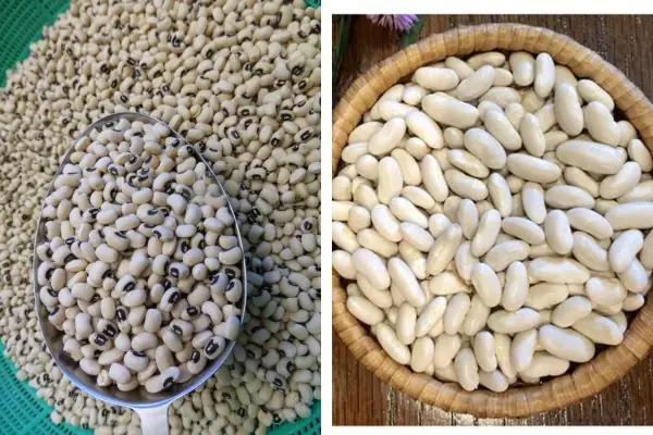 Loại Đau Cúng Khai Trương: Ý Nghĩa, Cách Chọn & Nghi Lễ Chuẩn Nhất