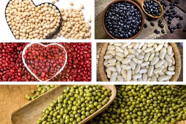 Loại Đau Cúng Khai Trương: Ý Nghĩa, Cách Chọn & Nghi Lễ Chuẩn Nhất