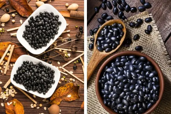 Loại Đau Cúng Khai Trương: Ý Nghĩa, Cách Chọn & Nghi Lễ Chuẩn Nhất