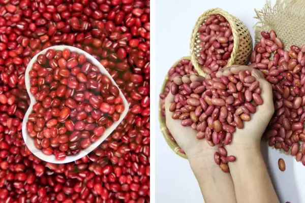 Loại Đau Cúng Khai Trương: Ý Nghĩa, Cách Chọn & Nghi Lễ Chuẩn Nhất