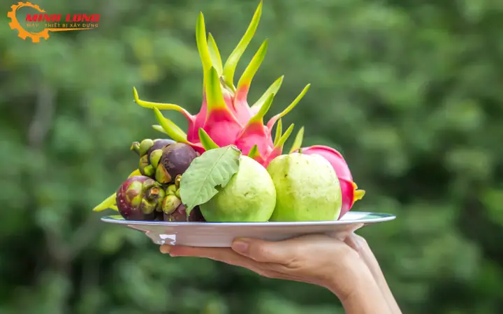 Top 5 Loại Trái Cây Cúng Động Thổ: Cẩm Nang Chọn Lễ Vật May Mắn