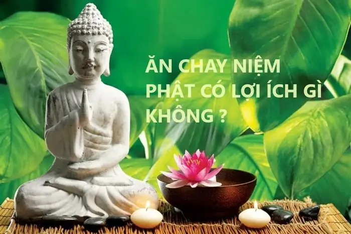 Ăn Chay Niệm Phật Có Lợi Ích Gì Không? - Tạp Chí Nghiên Cứu Phật Học