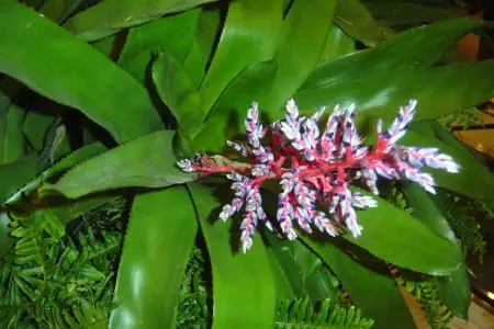 Kinh Thánh Nói Gì Về Việc Ăn Uống Của Các Tín Đồ?