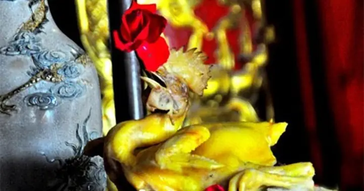 Ăn Gì Cúng Nấy: Giải Pháp Cho Cỗ Tết Hiện Đại Hay Phá Vỡ Phong Tục?