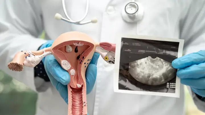 Cổ Tử Cung Cao Có Đẻ Thường Được Không? Vì Sao - Bệnh Viện Việt ...