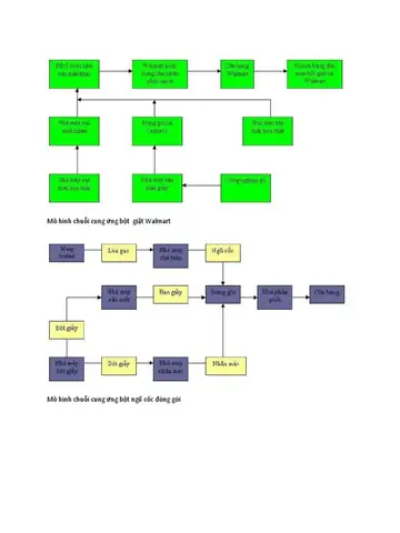 Ví Dụ Mô Hình Chuỗi Cung Ứng Bột Giặt | Pdf