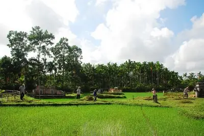 Truyền Thống Văn Hoá - Chạp Mả