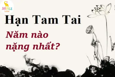 Năm Tam Tai Năm Nào Nặng Nhất Và Cách Hóa Giải Nhanh