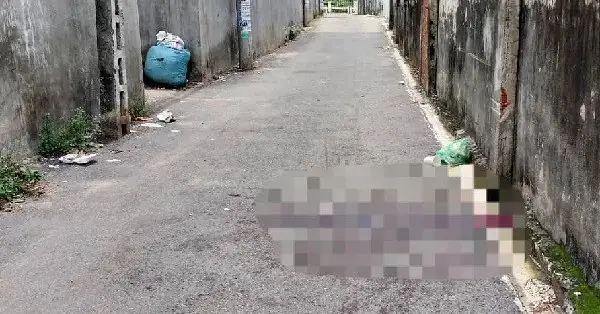 Gợi Ý Bài Cúng Giỗ Em Trai Chi Tiết, Ý Nghĩa Dành Cho Gia Đình