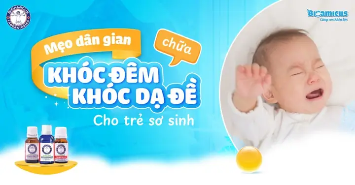 Bài Cúng Khóc Dạ Đề: Các Mẫu Văn Khấn Chuẩn Và Những Điều Cần Biết