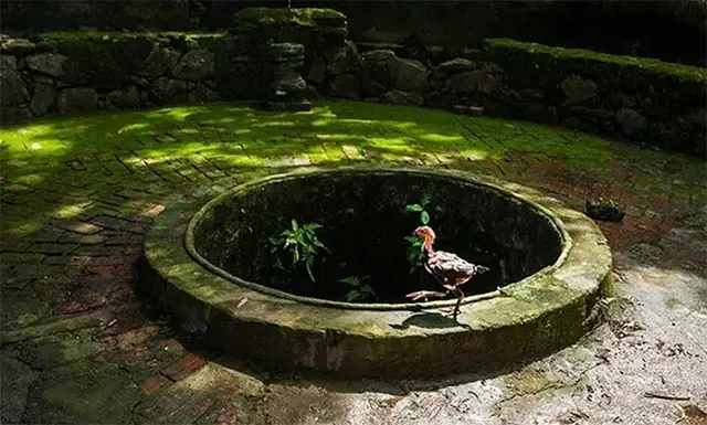 Cẩm Nang Văn Khấn Lấp Giếng: Bài Nghi Lễ, Sắm Lễ Và Những Điều Cần Biết