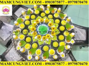 Hiểu Sao Cho Đúng Về Cắt Duyên Cho Cặp Sinh Đôi