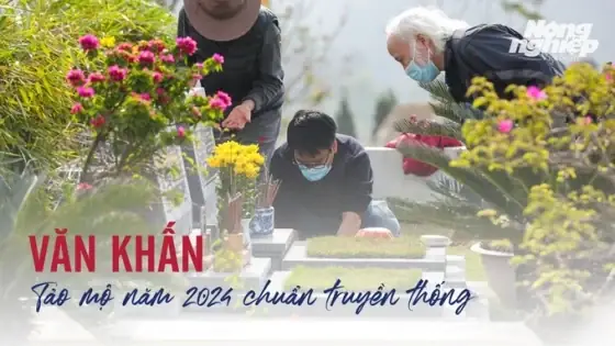 Cẩm Nang Bài Cúng Tạ Mộ Cuối Năm Chuẩn Tâm Linh Và Ý Nghĩa Truyền Thống