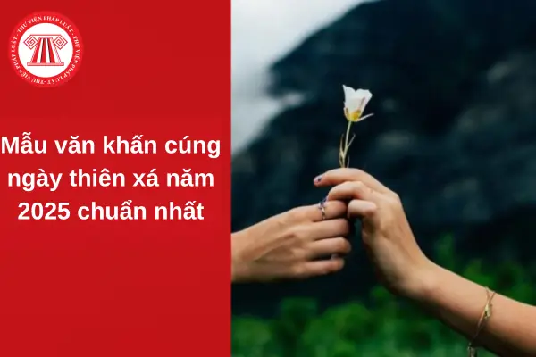 Tổng Quan Về Bài Cúng Ngày Thiên Xá: Ý Nghĩa Và Các Nghi Thức Cơ Bản