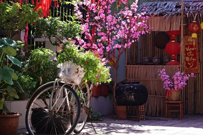 Bài Cúng Ông Bà Mùng 2 Tết: Văn Khấn Chuẩn Và Những Lưu Ý Quan Trọng