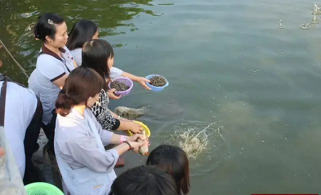 Các Bài Cúng Phóng Sinh Rằm Tháng 7 Chuẩn Nhất Và Ý Nghĩa Tâm Linh