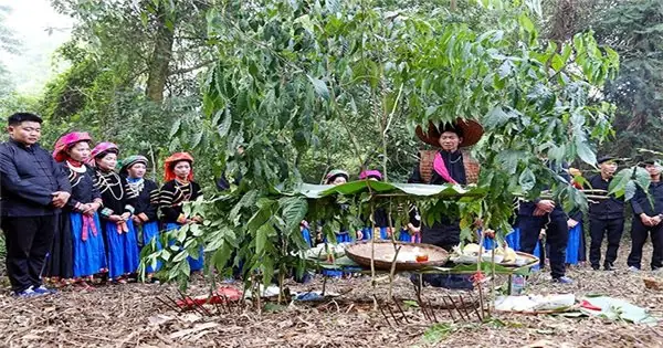 Lễ Cúng Rừng Của Người Pu Péo | Dân Tộc Và Phát Triển