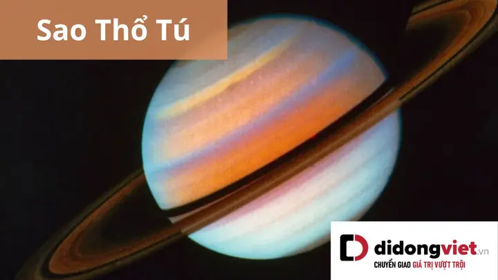 Cẩm Nang Cúng Sao Thổ Tú Giải Hạn Năm 2025: Chi Tiết Từ A Đến Z
