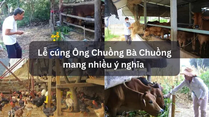 Bài Cúng Tết Bò: Ý Nghĩa, Văn Khấn Và Những Điều Cần Biết