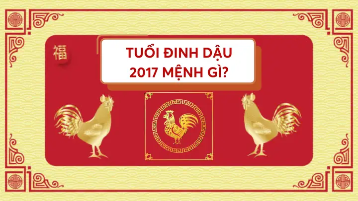 Người Sinh Năm 2017 Mệnh Gì Hợp Màu Gì? Ngành Nghề Nào Phù Hợp