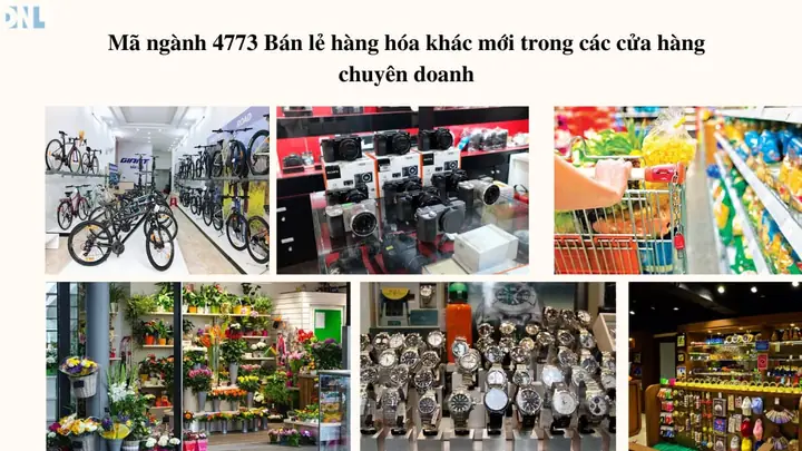 Mã Ngành 4773 Bán Lẻ Hàng Hóa Khác Mới (trừ Ô Tô, Mô Tô, Xe ...