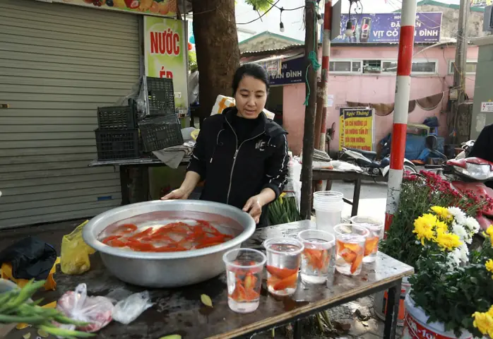 Giá Cá Chép Cúng Ông Công Ông Táo Tăng Cao, Chủ Bán Lẻ Than Ế