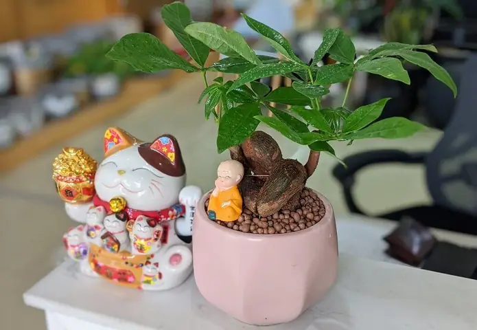 Yếu Tố Phong Thủy Bán Hàng Online Đắt Khách Có Thể Bạn Chưa Biết